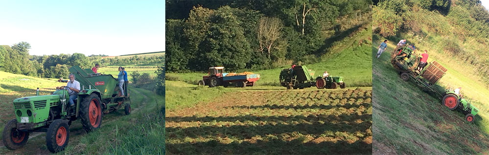 Kartoffelernte November